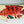 CASEY KEY CATCH